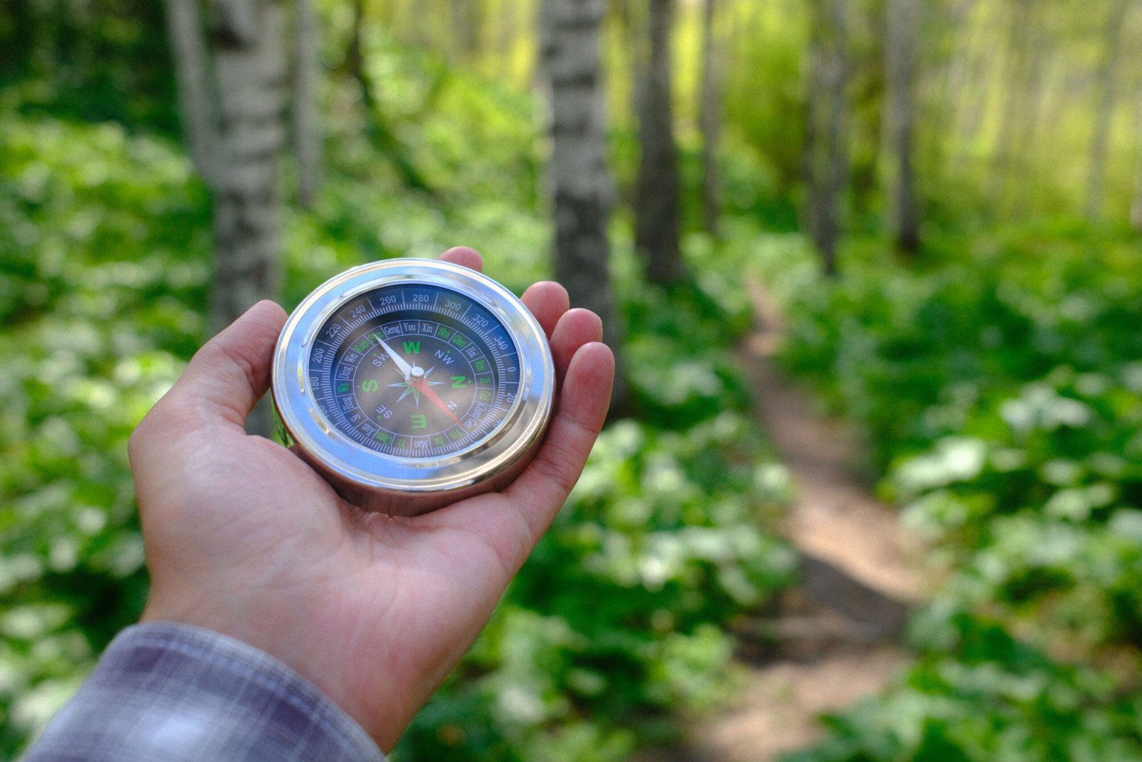 Hand holding a compass on a forest trail