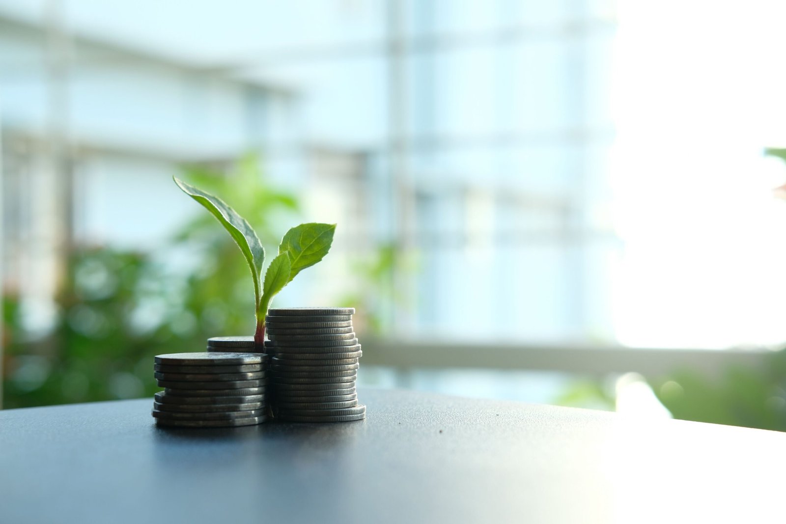 Small plant growing beside stacks of coins